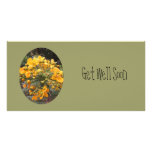 Flowers of Joy photo cards