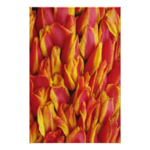 Flowers on float celebrating Queen's Day, a Art Photo