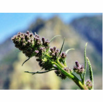 Flowers On Hill Cut Outs