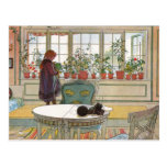 "Flowers on the Windowsill" by Carl Larsson Art Postcard