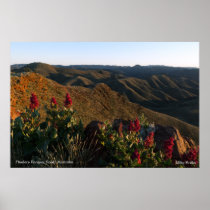 Flowers over the Flinders Poster