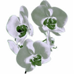 flowers photo sculptures