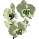 flowers photo sculptures