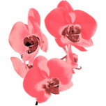 flowers photo sculptures