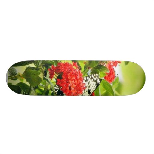 Flowers Plants Butterfly Butterflies Skate Boards