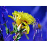 Flowers Plants In Grass Macro photo sculptures