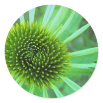 Flowers & Plants Round Stickers