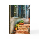 Flowers - Plants - The Stoop