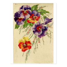 Flowers Post Cards