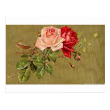Flowers Post Cards