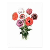 Flowers Post Cards