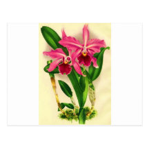 Flowers Post Cards