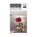 Flowers Postage Stamp
