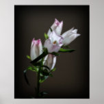 Flowers Print