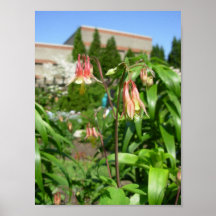 Flowers Print