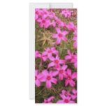 FLOWERS RACK CARD DESIGN