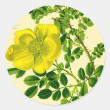 Flowers Round Sticker