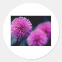Flowers Round Stickers