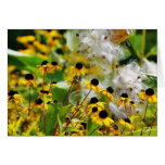 Flowers Seeding Cards