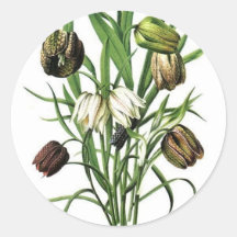 Flowers Stickers