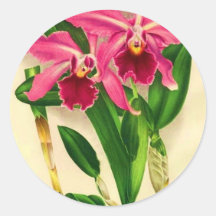 Flowers Stickers