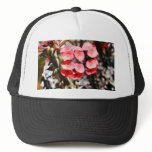 Flowers Throns Plants Hats