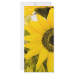 flowers to you rack cards
