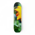 Flowers Vines Plants Pods skateboards