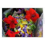 Flowers You Can Eat cards