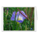 flowery field card