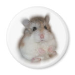 Fluff-ball - Tic Magnet