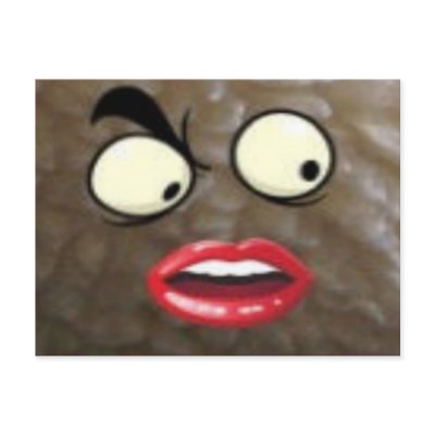 Fluffy Face Post Card