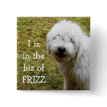 Fluffy Frizzy Bad Hair Day Dog