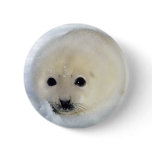 Fluffy Harp Seal Pup buttons