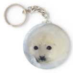 Fluffy Harp Seal Pup keychains