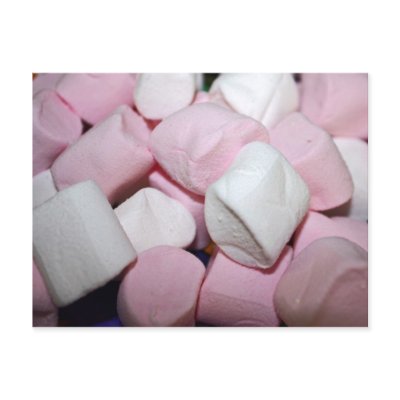 Fluffy Marshmallow Postcard