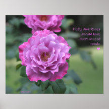 Fluffy Pink Roses Poster: ROSE & PROSE 20x16
