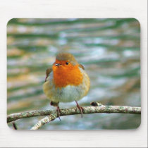 FLUFFY ROBIN mousepads