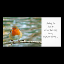 FLUFFY ROBIN, photo cards