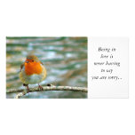 FLUFFY ROBIN, photo cards
