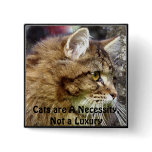 Fluffy TABBY CAT Buttons & Pins
