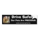 Fluffy TABBY CAT Safety Bumper Sticker bumper stickers
