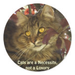 Fluffy TABBY KITTEN - CAT Stickers