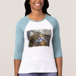 FLUFFY TABBY KITTEN Collection Tshirt