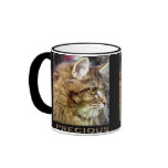 Fluffy TABBY KITTEN Gift Mugs
