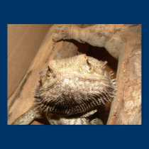 Fluffy the Dragon Print posters