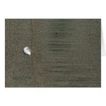 Fluffy white feather on beach Greeting Card