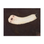 Fluke Postcard