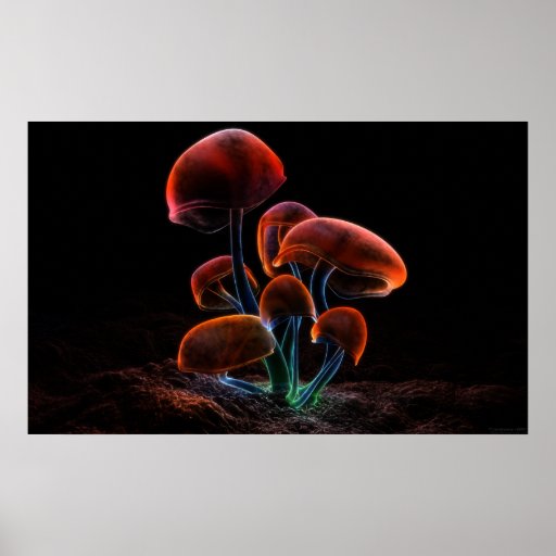 Fluorescence (2009) print