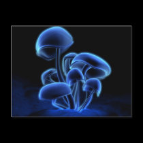 Fluorescence Postcard